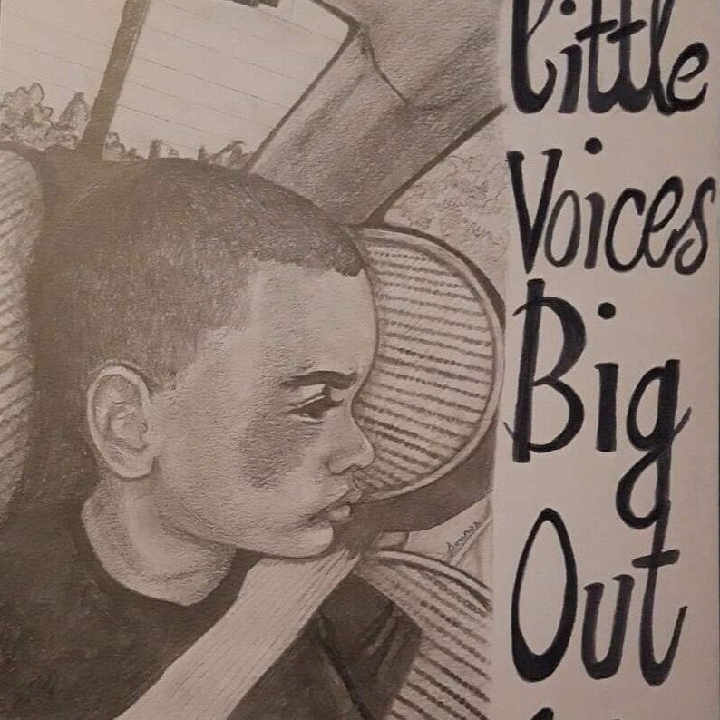 Little Voices Big Outcries